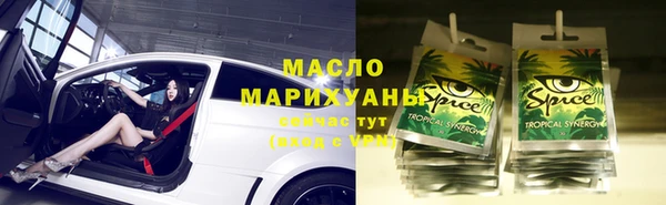 амф Верхний Тагил