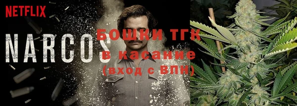 стафф Бронницы