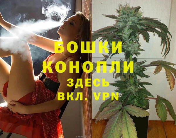 амф Верхний Тагил
