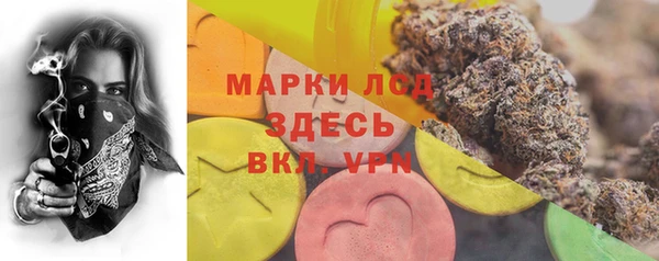 стафф Бронницы
